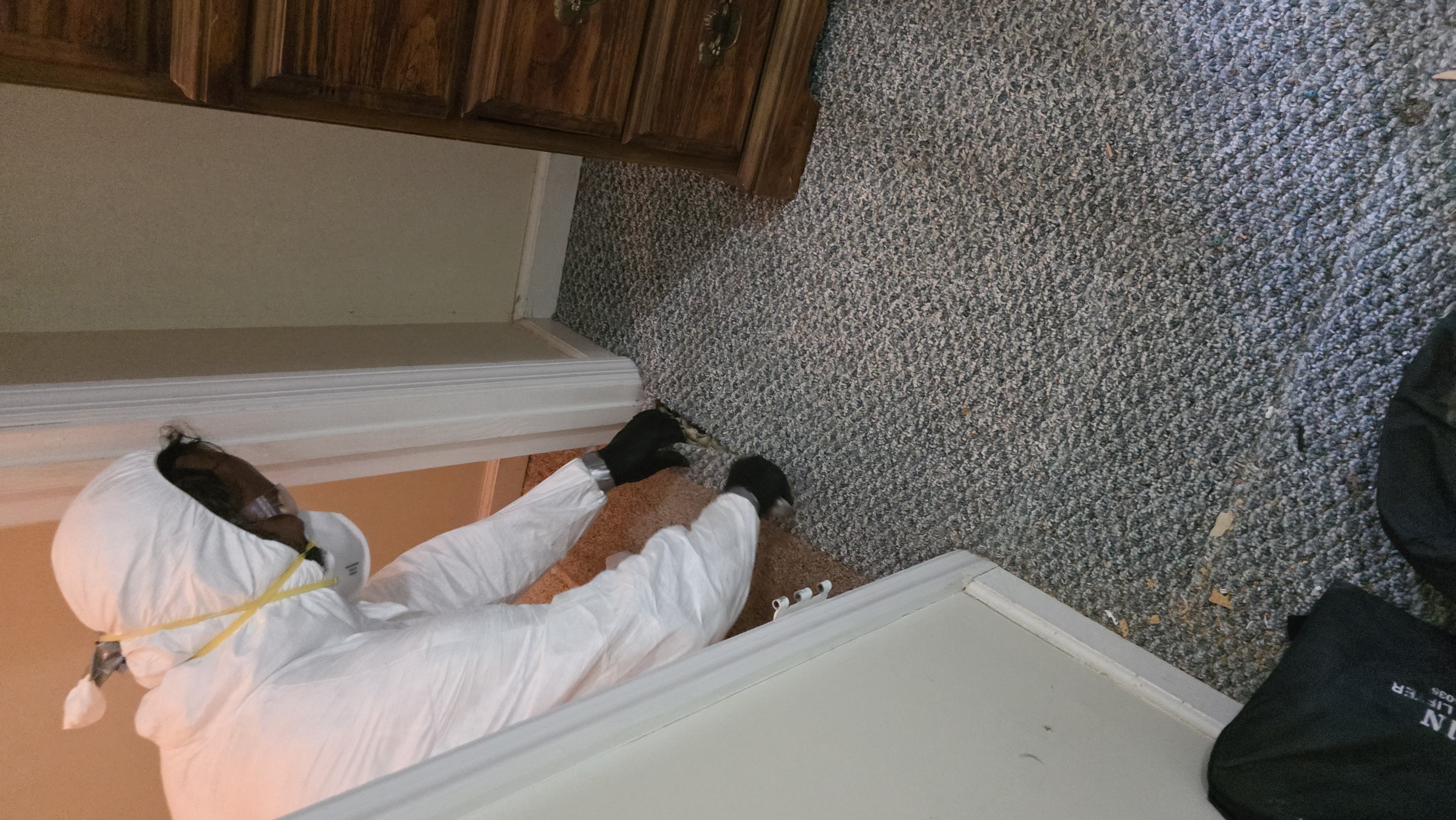 Tearing out biohazard-contaminated carpet in a Georgia property
