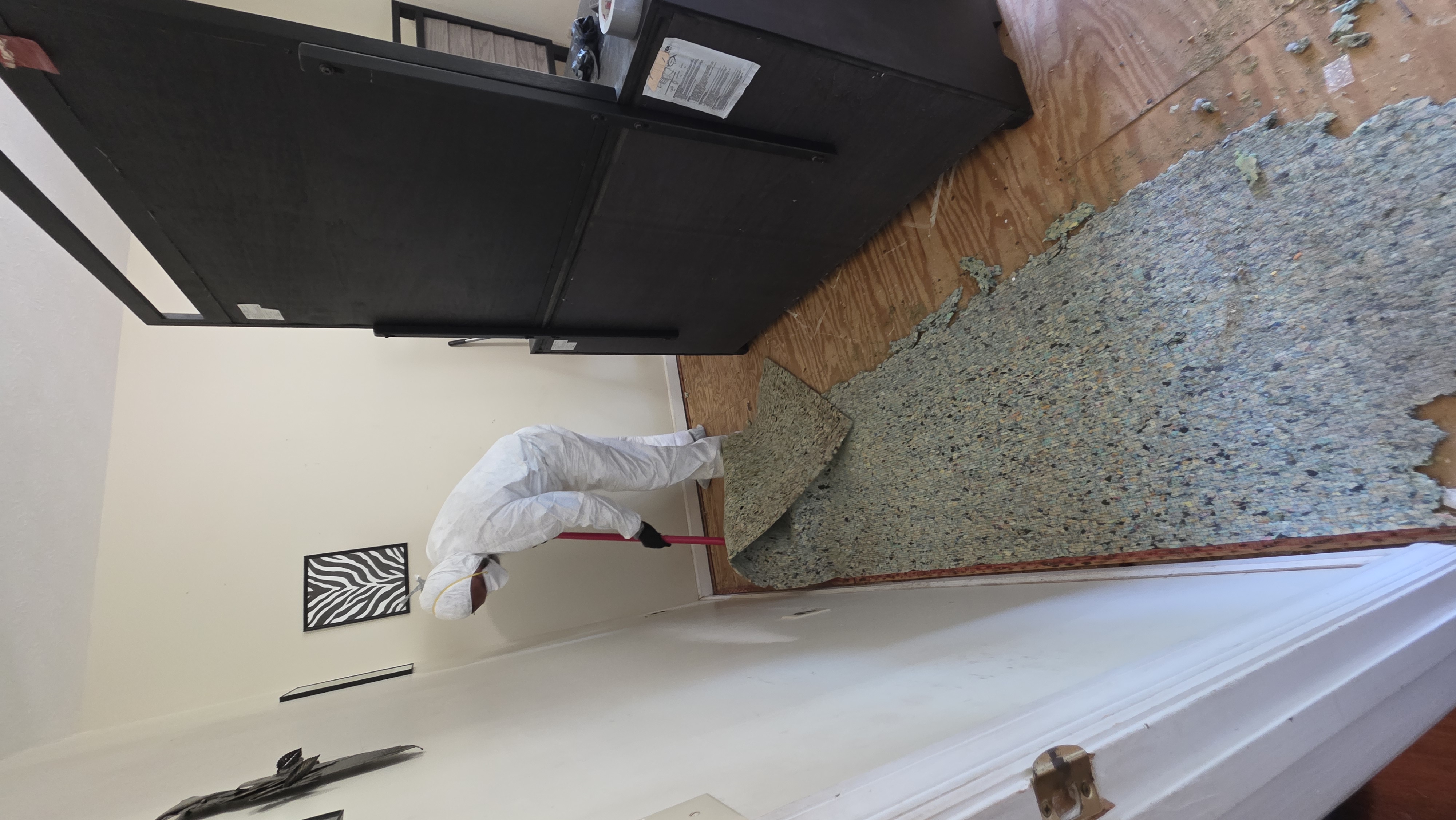 Removing contaminated carpet padding during biohazard remediation in Georgia